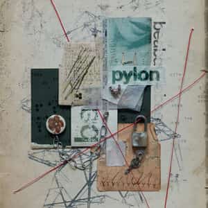 Pylon album cover by beabadoobee